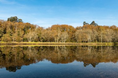On altıncı yüzyıl şair ve Ponte da Barca yerlilere olan iki kardeş Jardim dos Poetas Bahçe, bu küçük bahçe adını alır.