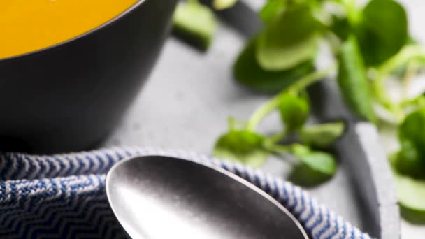 Healthy Pumpkin soup with cream and organic pumpkin seeds. — Stock Footage Healthy Pumpkin Soup Cream Organic Pumpkin Seeds Royalty Free Stock Video