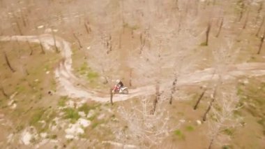 Enduro motorsikletlerinden birinin patikadan geçerken ya da çam ağaçlarının bulunduğu alanda kırsal alandaki yol eğitiminde çekilmiş hava aracı görüntüsü. Adrenalin yoğunluğu eğlencesi.