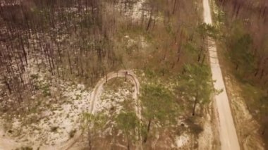 Enduro motorsikletlerinden birinin patikadan geçerken ya da çam ağaçlarının bulunduğu alanda kırsal alandaki yol eğitiminde çekilmiş hava aracı görüntüsü. Adrenalin yoğunluğu eğlencesi.