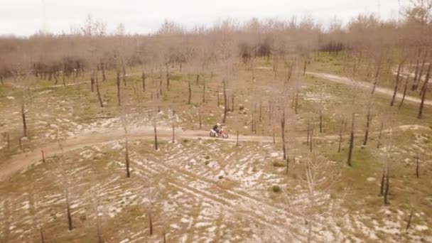 田舎のオフロードトレーニング中に松の木のフィールド上のパスや砂の歩道を介して1つのエンデューロオートバイのドライブの空中ドローンショットビュー アドレナリンラッシュ楽しい — ストック動画