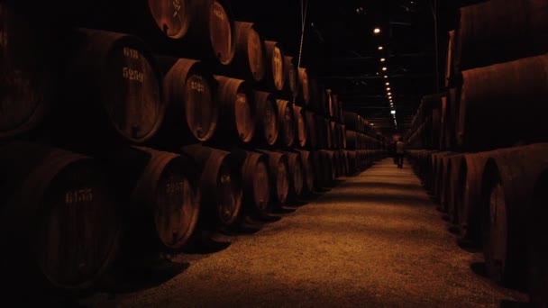 Πόρτο Πορτογαλία 2019 Μαρτίου Κελάρι Κρασιού Λιμανιού Ξύλινα Βαρέλια Κρασί — Αρχείο Βίντεο