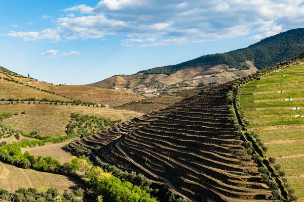 Torto river valley — Stock Photo, Image