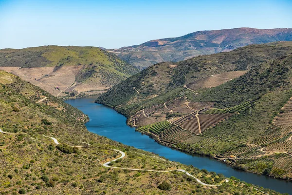 Nehir Douro Coa Nehri'nin ağzında yanındaki — Stok fotoğraf