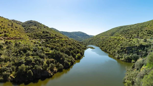 Nehir Douro Coa Nehri'nin ağzında yanındaki — Stok fotoğraf