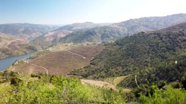 Vargelas bakış Douro ve onun insan yapımı yamaçları üzerinde büyük bir manzara görmek için izin verir. Douro bölgesi, ünlü Port şarap bölgesi, Portekiz.