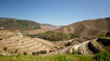 Vale de Figueira, Sao Joao da Pesqueira belediyesinde yer alan Sao Xisto 'daki Ferradosa köprüsü yakınlarındaki Douro vadisi manzarası, köye nefes kesici bir manzara hakim..