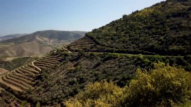 Vale de Figueira, Sao Joao da Pesqueira belediyesinde yer alan Sao Xisto 'daki Ferradosa köprüsü yakınlarındaki Douro vadisi manzarası, köye nefes kesici bir manzara hakim..
