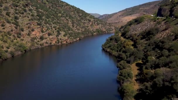 Fiume Douro Vicino Alla Foce Del Fiume Coa Vila Nova — Video Stock