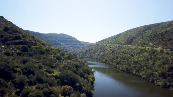 Rivier Douro Naast Monding Van Rivier Coa Vila Nova Foz — Stockvideo