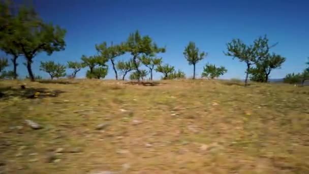 Migdałowy Krajobraz Drzewa Przed Błękitnym Niebem — Wideo stockowe