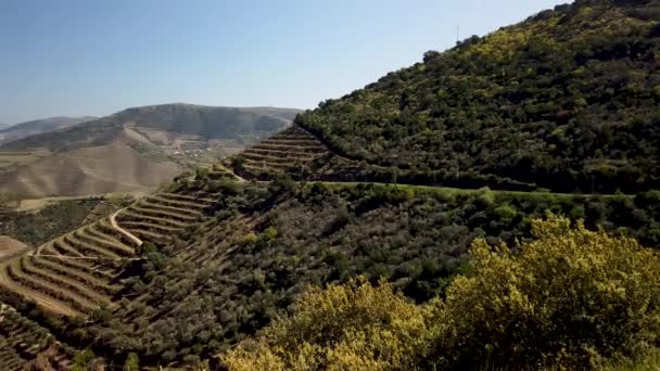 Widok Dolinę Douro Pobliżu Mostu Ferradosa Sao Xisto Położony Vale — Wideo stockowe