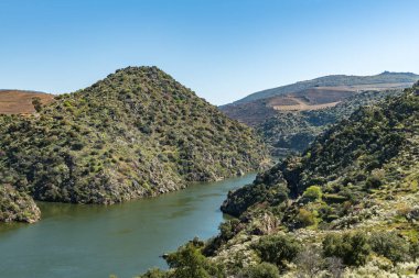 Manzara çevreleyen Arnozelo bakış açısı
