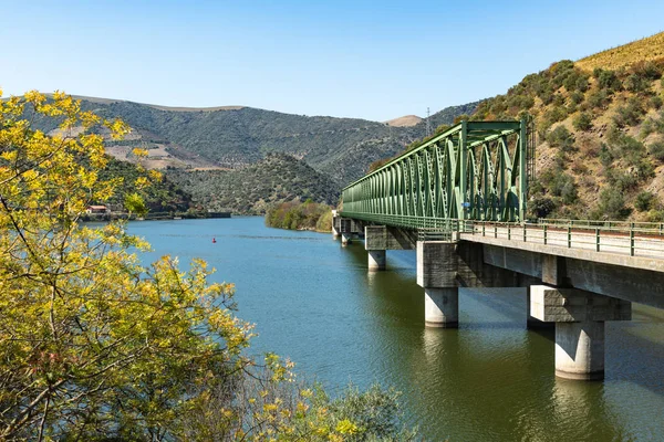Utsikt over Douro Valley nær Ferradosa-broen – stockfoto