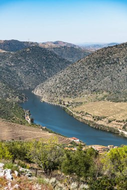 Manzara çevreleyen Vargelas bakış