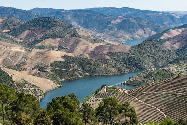 Viewpoint of Vargelas surrounding landscape — Stock Photo, Image