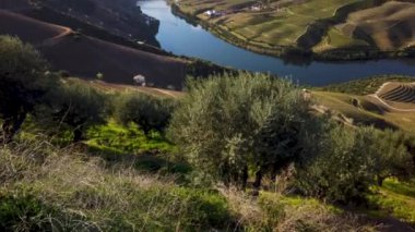 Douro Valley ve nehir Portekiz Pinhao Köyü yakınındaki teraslı üzüm bağları görünümünü. Kavram Portekiz seyahat ve Portekiz en güzel yerleri.