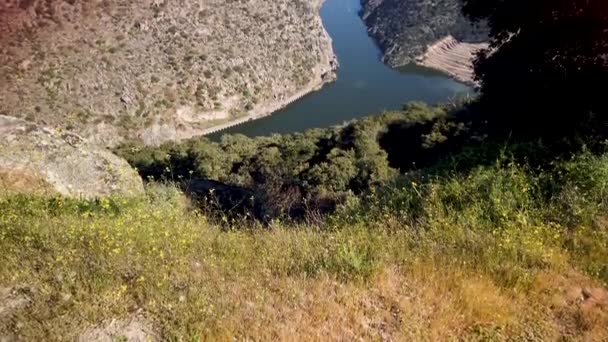 Valeira Dam Och Omgivande Landskapet Nära Byn Sao Joao Pesqueira — Stockvideo