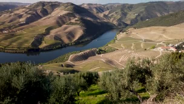 Utsikt Över Terrasserade Vingårdarna Douro Dalen Och Floden Nära Byn — Stockvideo