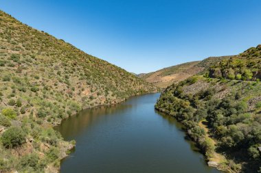 Nehir Douro Coa Nehri'nin ağzında yanındaki