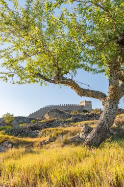 Numao kale görünümü