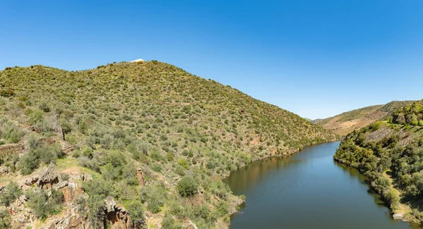 Nehir Douro Coa Nehri'nin ağzında yanındaki — Stok fotoğraf