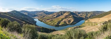 Douro Valley teraslı üzüm bağları görünümünü