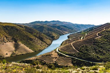 Nehir Douro Coa Nehri'nin ağzında yanındaki