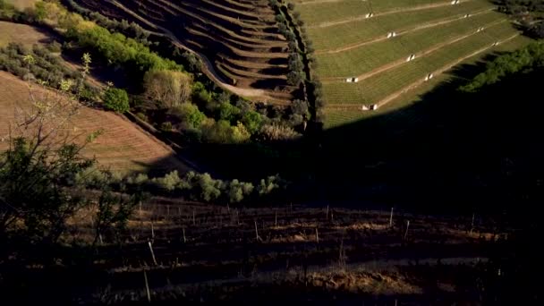 Pinhao Portugalsko Přibližně Březen 2019 Pohled Překrásné Údolí Řeky Torto — Stock video