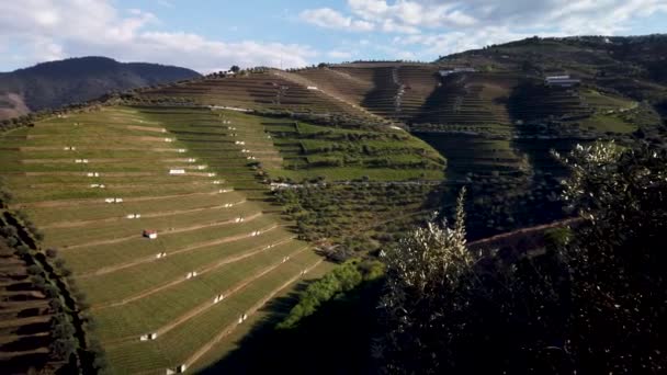 Pinhao Portugalsko Přibližně Březen 2019 Pohled Překrásné Údolí Řeky Torto — Stock video