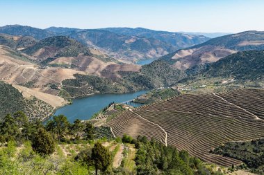 Manzara çevreleyen Vargelas bakış
