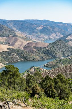 Manzara çevreleyen Vargelas bakış