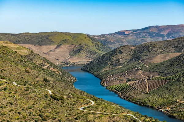 Nehir Douro Coa Nehri'nin ağzında yanındaki — Stok fotoğraf