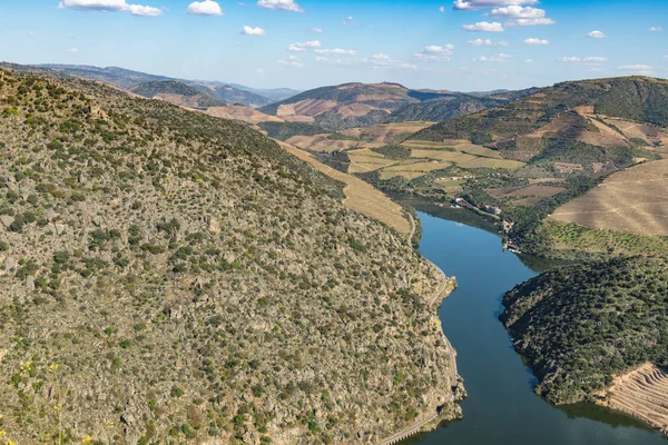 Sao Joao da Pesqueira çevresindeki manzara — Stok fotoğraf