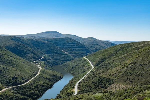 Rivière Douro à l'embouchure de la rivière Coa — Photo
