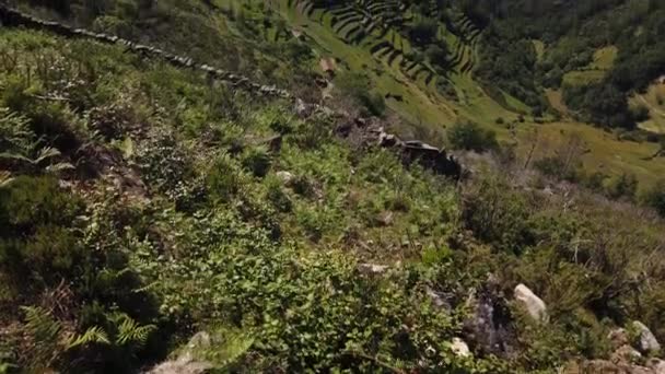 テラスの視点 ミラドウロ ソカルコス 農業テラス 有名なチベットスタイルの風景 ポルタ コヴァ プレイス システロ アルコス — ストック動画