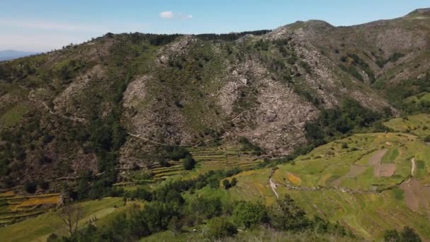 Viewpoint Tarasów Miradouro Dos Socalcos Widokiem Tarasy Rolnicze Słynny Styl — Wideo stockowe