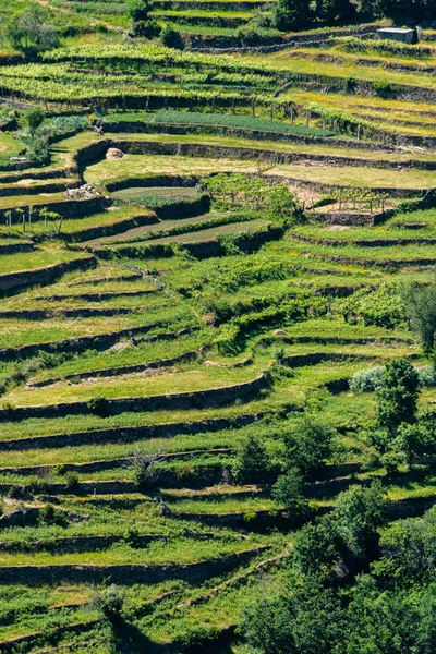 Punctul de vedere al teraselor lui Sistelo Fotografie de stoc