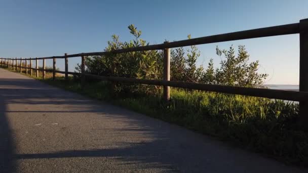 Skateboarder Cruising Ner Fot Gängare Promenad Vid Floden Vid Solnedgången — Stockvideo