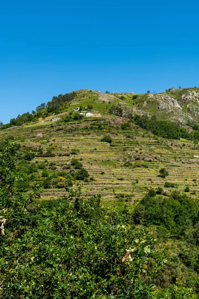 Aussichtspunkt Der Terrassen Miradouro Dos Socalcos Mit Blick Auf Die — Stockfoto