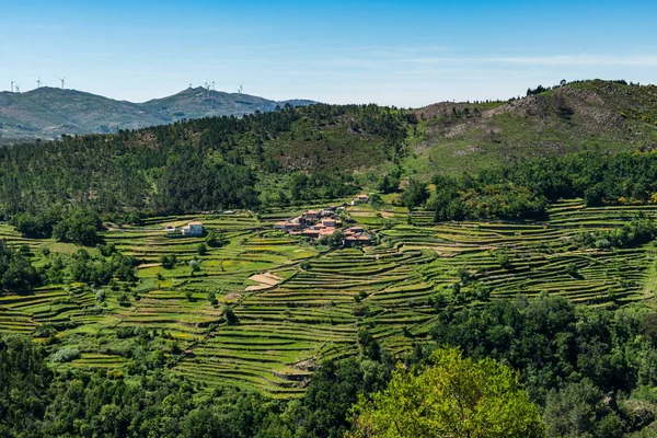 Viewpoit of Sistelo's terraces Stock Image