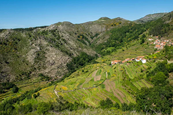 Uitkijkpunt Van Terrassen Miradouro Dos Socalcos Met Uitzicht Agrarische Terrassen Rechtenvrije Stockfoto's