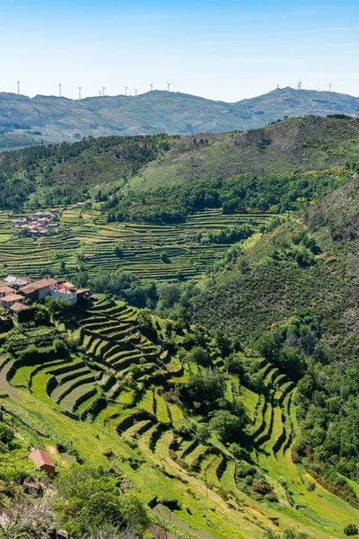 Mirador de las terrazas de Sistelo Fotos De Stock Sin Royalties Gratis