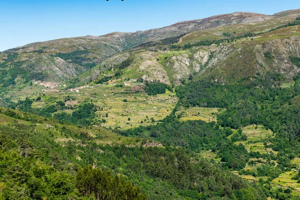 Viewpoit of Sistelo's terraces Stock Picture