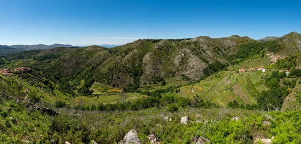 Utsikt Terrassene Landskapet Miradouro Dos Socalcos Med Utsikt Jordbruksterrassene Berømt stockbilde