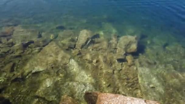 Lagoa Comprida Ist Der Größte See Des Naturparks Serra Estrela — Stockvideo