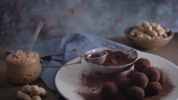 Craft Chocolate Truffles Plate Cocoa Powder Peanuts — Stock Video