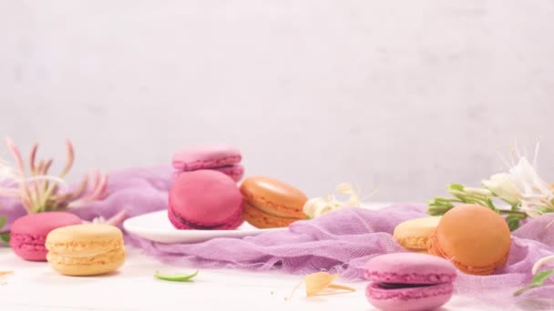 Une Délicatesse Française Sucrée Macarons Variété Gros Plan Couleur Macarons — Video