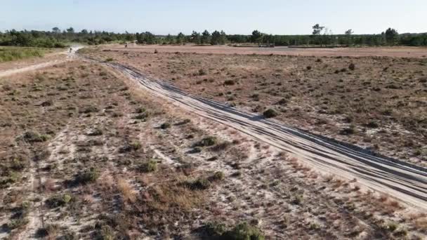 Aerial Drone Shot View One Enduro Motorcycle Drive Path Sandy — Stock Video