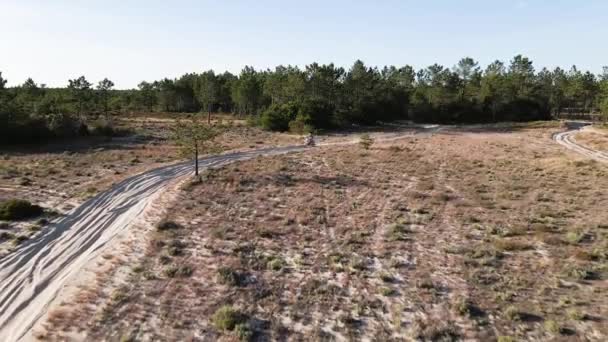 Vista Aérea Del Avión Tripulado Una Motocicleta Enduro Conducir Través — Vídeos de Stock